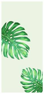 Perbatasan tema daun hijau gambar unduh gr. Belalang Daun 1024x768 Wallpaper Teahub Io