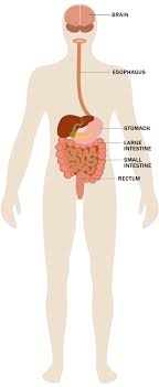 Https Encrypted Tbn0 Gstatic Com Images Q Tbn And9gcqsbchghqcezp D3etw0ujycwrcfn7p Egmcq Usqp Cau Choose from 20+ cartoon disease graphic resources and download in the form of png, eps, ai or psd. 2