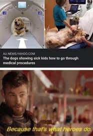 Pin By Moochers On Cute In 2020 Cute Funny Animals Funny Animals Cute Stories