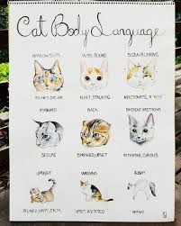 Cat Body Language Chart For Tally Cat Cafe Cat Body