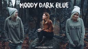 Apa itu rumus lightroom dan cara install rumus lightroom di hp. Moody Dark Blue Lightroom Mobile Presets Ar Editing