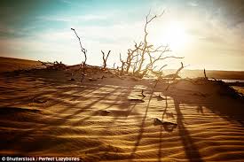 Image result for global warming photos