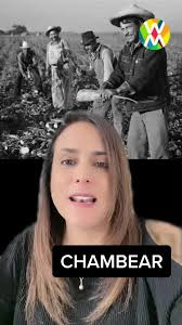 El Video De Majo Contra Chachi