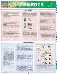 Genetics Laminated Reference Guide Biology Lessons Science Biology Genetics