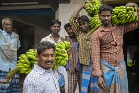 Important notice for all tenants regarding a change of name for online read more The World S Banana Giant Is Awake Danfoss