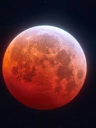 That familiar, yellow, solitary moon. The Digital Teacher Schools Strawberry Moon The Most Beautiful Moon Of The Year Watch Out Learn