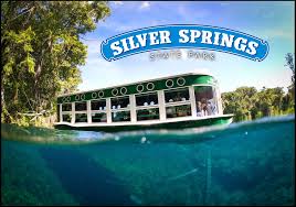 The park's world famous glass bottom boats have been delighting guests in central florida since the 1870s. Silver Springs State Park Home Facebook