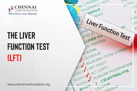 Image result for Liver Function Test