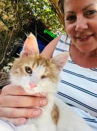 Hello, Hilary. My name is John Henderson and I'm an American travel writer  based in Rome. My photographer and I are coming to Istanbul next week for a  few stories. One of