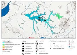 Image result for Ascolepis lineariglumis