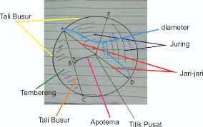 Titik pusat pada lingkaran lebih dari satu. Lingkaran Dan Bagian Bagian Lingkaran Assosiatif