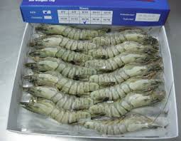 Exporting Frozen Cultured Black Tiger Shrimp To Europe Cbi