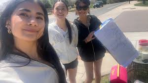 Homemade lemonade and accessories for sale