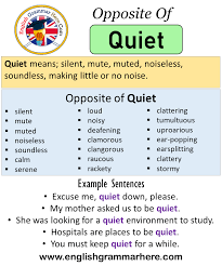 Opposite Of Quiet Antonyms Of Quiet Meaning And Example Sentences Antonym Opposite Words Contradict Ea Learn English Words Opposite Words Opposite Words List