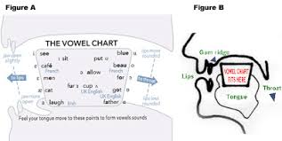 Lindamood Bell Vowel Chart The Invention Of The