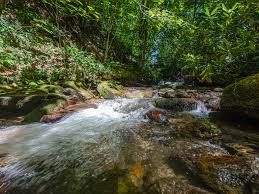 Regardless of your needs, our rental homes are the best and our service is second to none! Maggie Valley Creekfront Affordable Log Cabin Vacation Rental