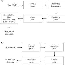 These issues can be more evident and noticeable in developing countries 3. Ecotoxicological Assessment Of Palm Oil Mill Effluent Final Discharge By Zebrafish Danio Rerio Embryonic Assay Sciencedirect