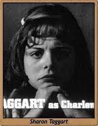 Sharon Tagg's Instagram, Twitter & Facebook