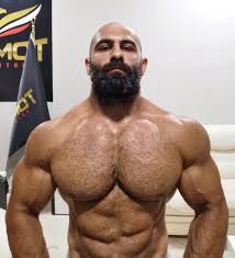 Will Hochan on X: RT @baldmuscle: Furry turkish daddy Tolga Murat  🐻🇹🇷💪🏽 edit t.coLOQZluid2W  X