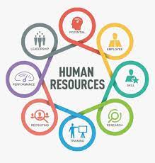 Maybe you would like to learn more about one of these? Human Resources Department Logo Hd Png Download Transparent Png Image Pngitem