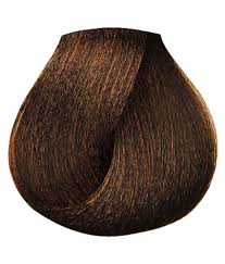 Loreal Inoa No 4 45 Permanent Hair Color Mahogany Copper Brown 60 Gm