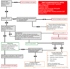 Petechiae appear when capillaries bleed, leaking blood into the skin. Petechiae In Children The Pic Study