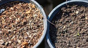 It plays a very important role in the nature of the soil. Should You Add Sand To Garden Soil The Pros And Cons Simplify Gardening