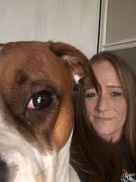 Baby bunnies done now they can sit with momma