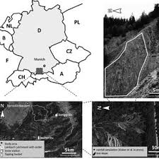 I am working with a 3m resolution dem. Digital Elevation Vegetation Slope Aspect And Curvature Of The Study Download Scientific Diagram