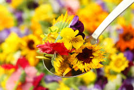 We did not find results for: Edible Flowers List And Guide To Eatable Flowers Bouqs Blog