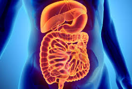 For many people, math is probably their least favorite subject in school. 12 Facts About Your Digestive System Mental Floss