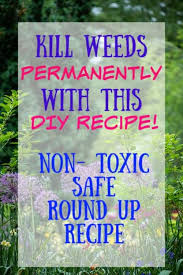 It is important to apply the solution when it doesn't rain for at least 24 hours. How To Permanently Kill Grass And Weeds With Salt Vinegar And Dawn Crafty Little Gnome