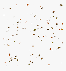 Colorful fall leaves swirl around in this autumn animated border. Falling Leaves Png Transparent Background Fall Leaves Png Png Download Kindpng