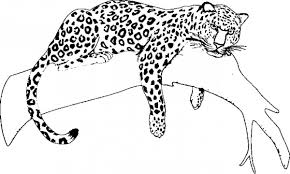 Maybe you would like to learn more about one of these? Disegni Di Ghepardo Da Colorare 100 Immagini Per La Stampa Gratuita