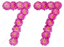 Arabic Numeral 77, Seventy Seven, From Flowers Of Chrysanthemum, Isolated  On White Background Stock Photo, Picture And Royalty Free Image. Image  90250443.