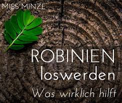 Robinien Bekampfen Zu Viele Wurzelauslaufer Im Garten Pflegeleichte Pflanzen Garten Garten Gestalten