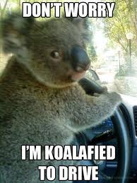 Meanwhile In Australia Meme Google Search Funny Animal Jokes Funny Cartoons Jokes Funny Animal Memes