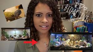 Bioactive Tank for a Leopard Gecko