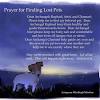 Heavenly father, please help us in our time of need, you have made us stewards of (name of pet). 1