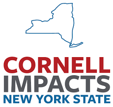 Maybe you would like to learn more about one of these? Nsf Challenges Cornell To Tame Winter Natural Disasters Cornell Chronicle