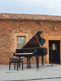 Profile for Fernando Rosado