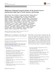 ✔ highly specialized team for pest control at hamilton on. Pdf Indigenous Arthropod Natural Enemies Of The Invasive Brown Marmorated Stink Bug In North America And Europe