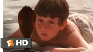 The Black Stallion (6/11) Movie CLIP