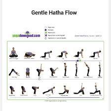 Pin By Nicole Nicolette Merrill On Loving Yoga And Learning Basic Yoga Poses Yoga Poses Chart Gentle Yoga