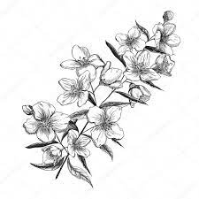 We did not find results for: Drawing Flower Jasmine Novocom Top