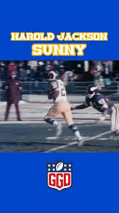 Image result for White 1983 Fedders