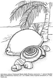 Pin On Ocean
