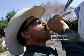 154 Alamillo Stock Photos, High-Res Pictures, and Images