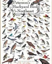 This article tells you what indiana birds you can expect in your backyard and when they are most common. 101 Bird Lover Gift Ideas