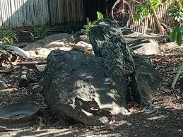 Maybe you would like to learn more about one of these? Duyung Yang Hilang Di Dusun Batu Ruyung Bantaeng
